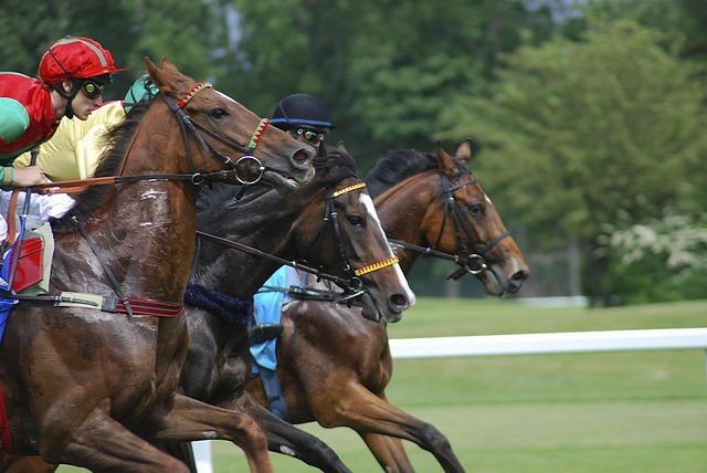 Jebel Ali Racecourse - Dubai Thrilling Experience